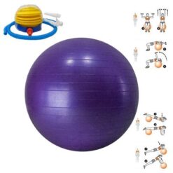 6044 Balon Gym 65 Morado Wonder 1 400x400 1